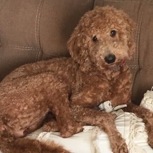 Meet your Posher, Stacy